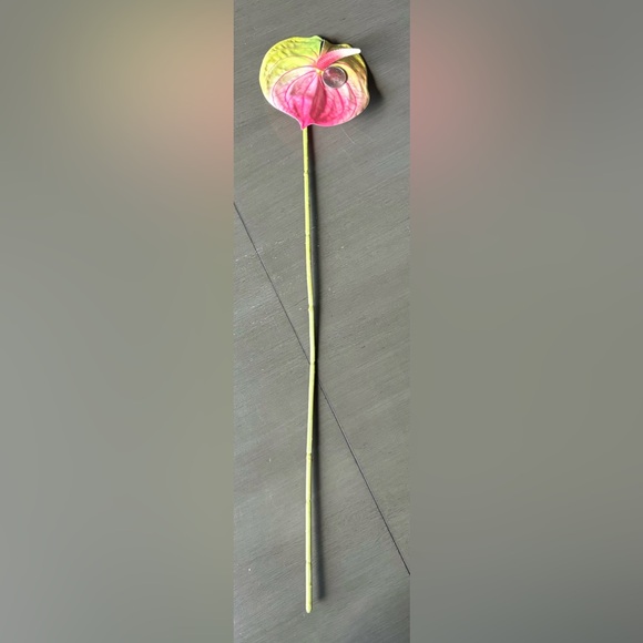Gorgeous 3 Stems 22.5" Artificial Faux Multicolor Variegated Anthurium Flowers - Picture 16 of 16